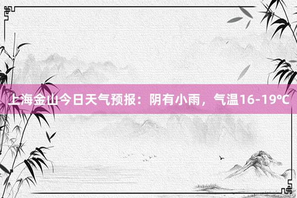 上海金山今日天气预报：阴有小雨，气温16-19℃